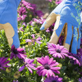 Ladies Slim Fit X-small Garden Gloves Blue