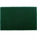 Pad Non Woven Ind. Strength 5pc 150 X 230mm Fine Green