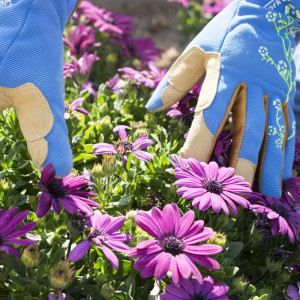 Ladies Slim Fit X-small Garden Gloves Blue