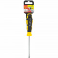 Screwdriver Slotted 5 X 100mm